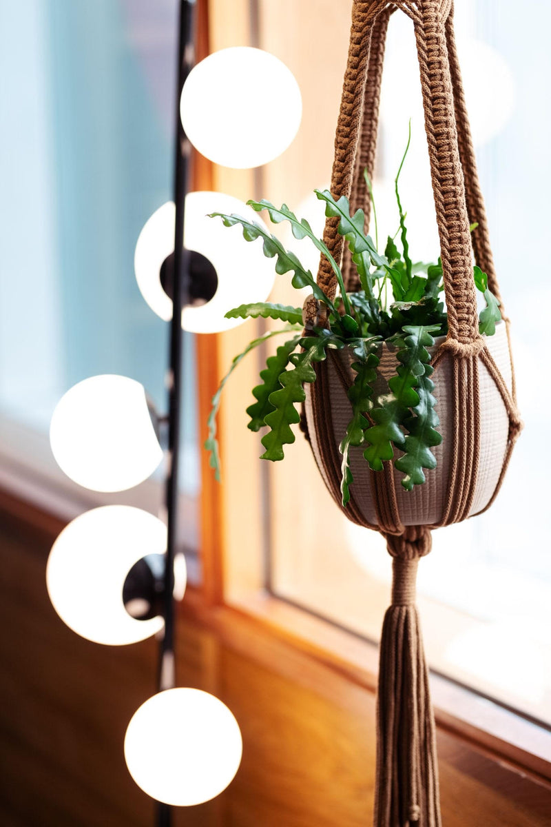 A brown ASTRL Fibres macrame plant hanger in front of a window and a stylish lamp