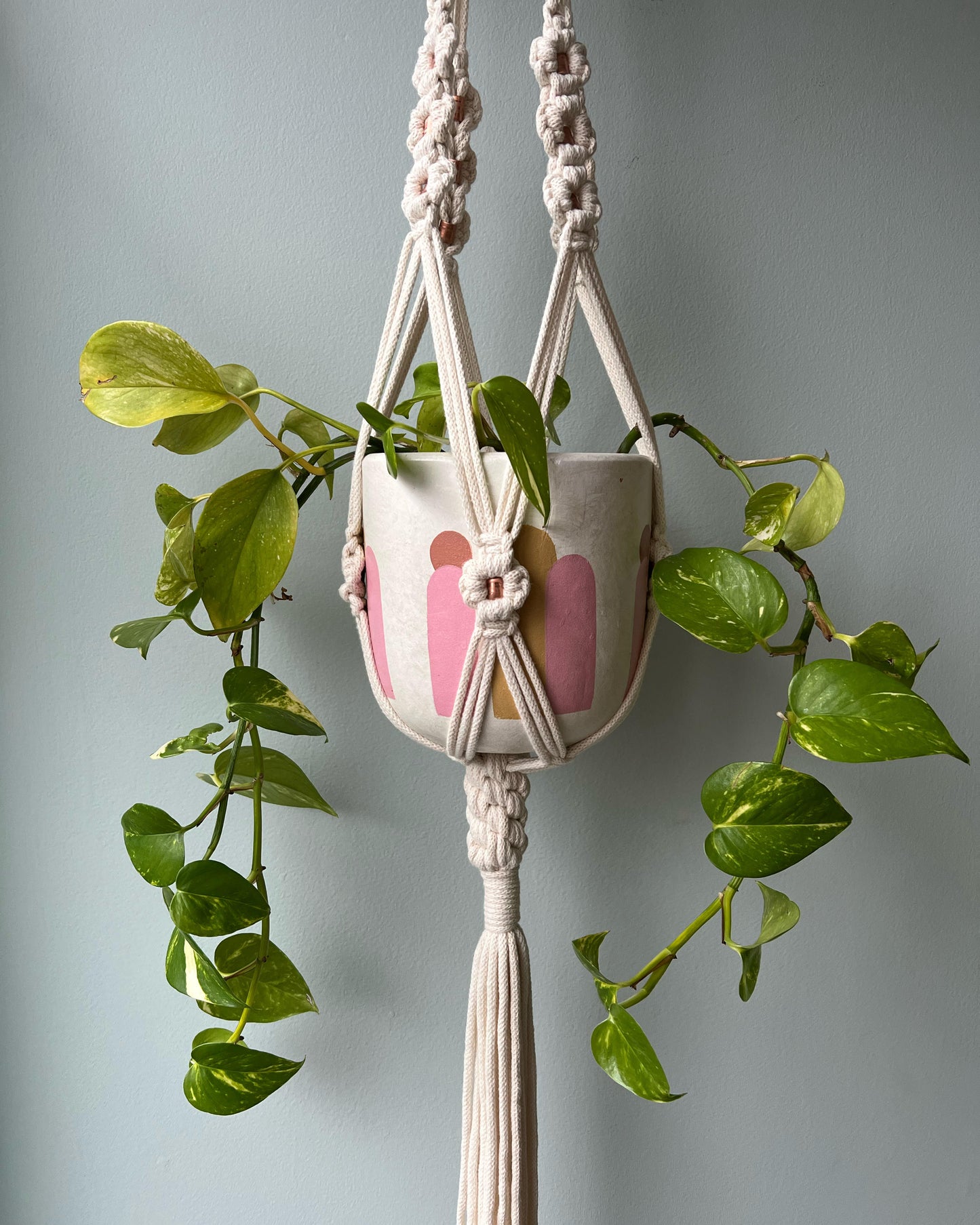 ASTRL Fibres Macramé Plant Hanger Belfast 