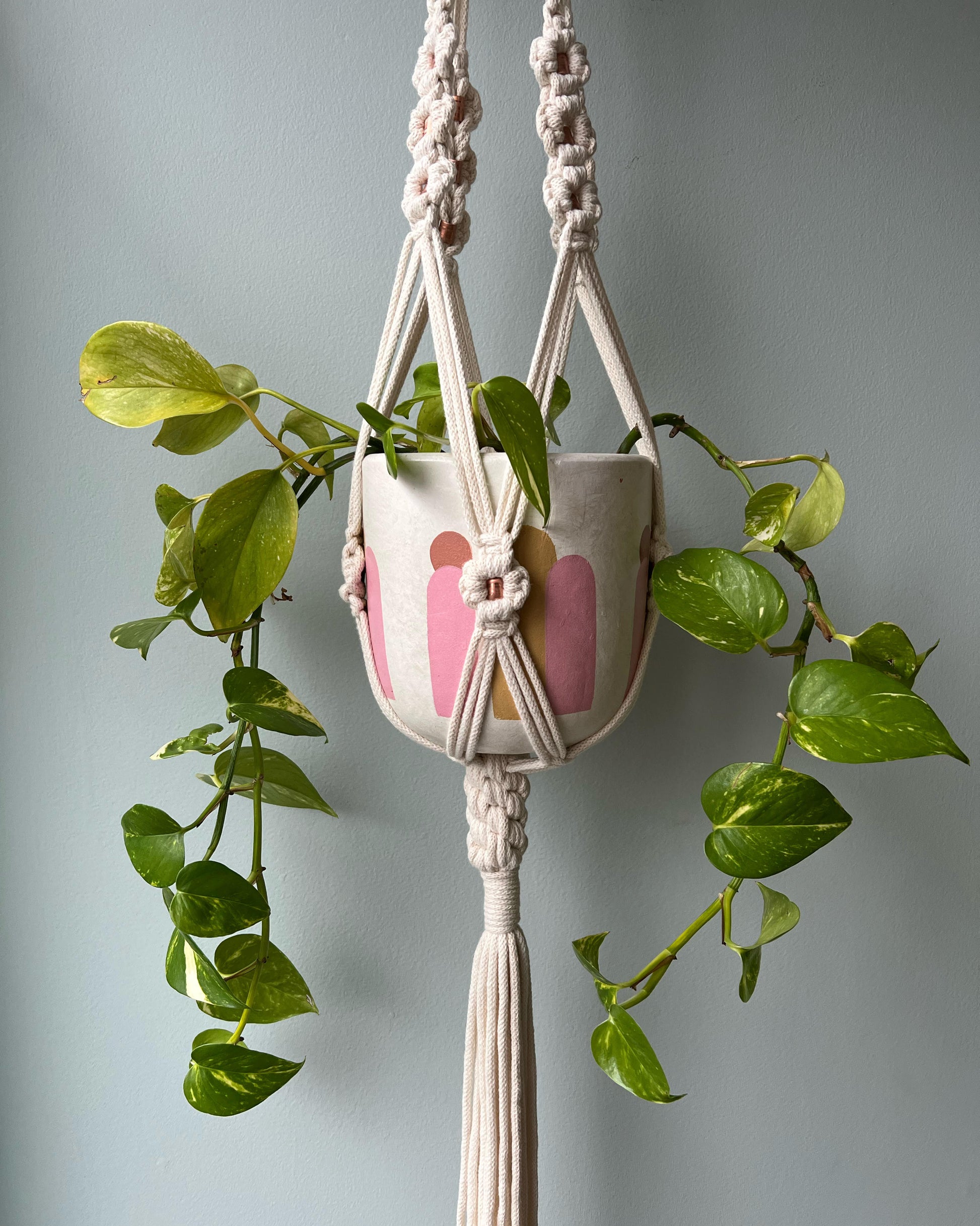 ASTRL Fibres Macramé Plant Hanger Belfast 