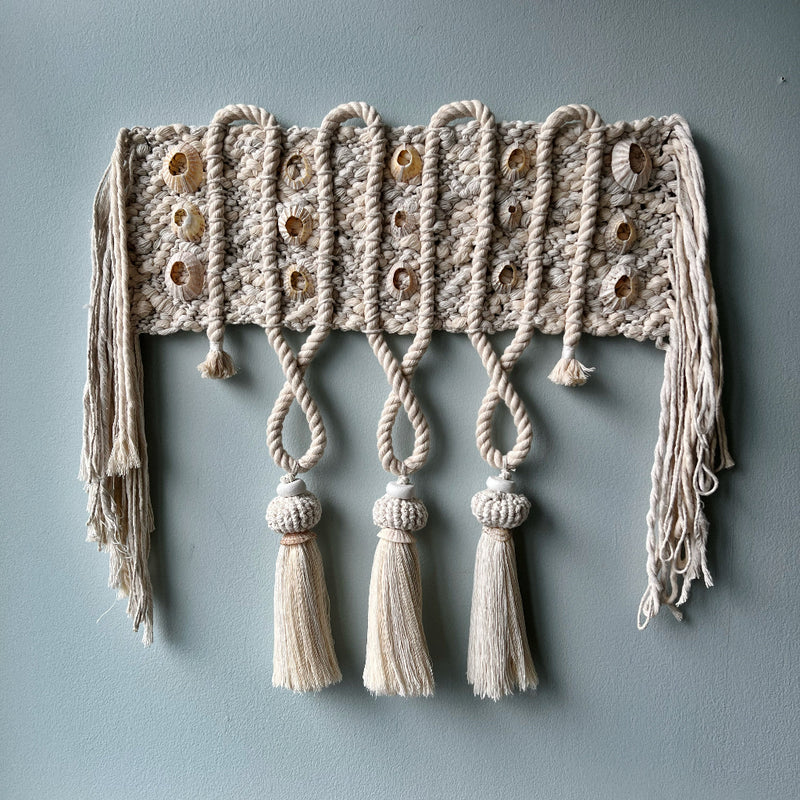 An  ASTRL Fibres macrame wall hanging on a light blue backgroun