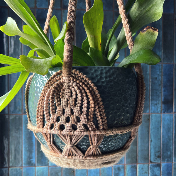Hanging plant in a textured pot with a decorative macrame basket against a blue tiled wall.