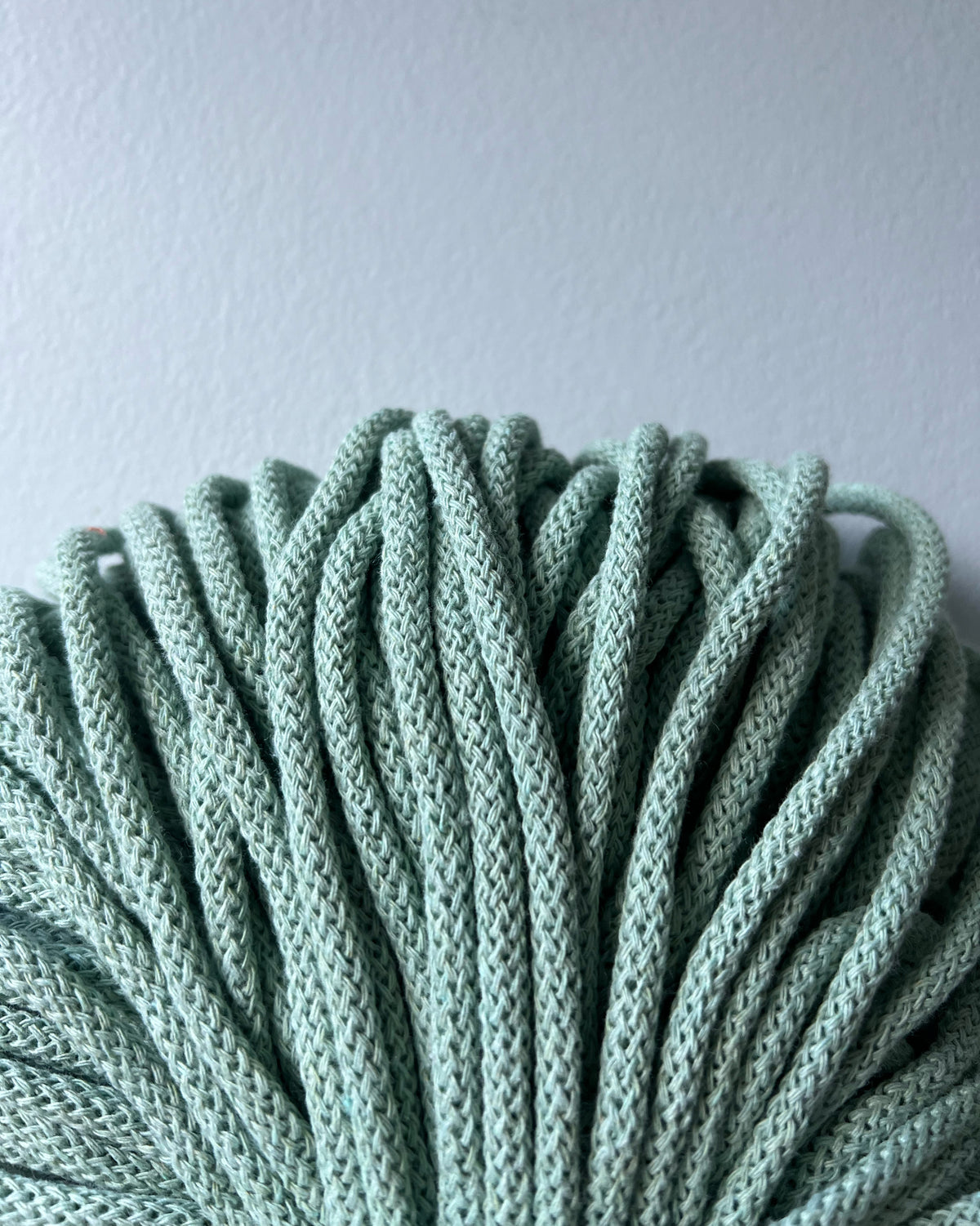 The Macramé Your Own Plant Hanger Kit