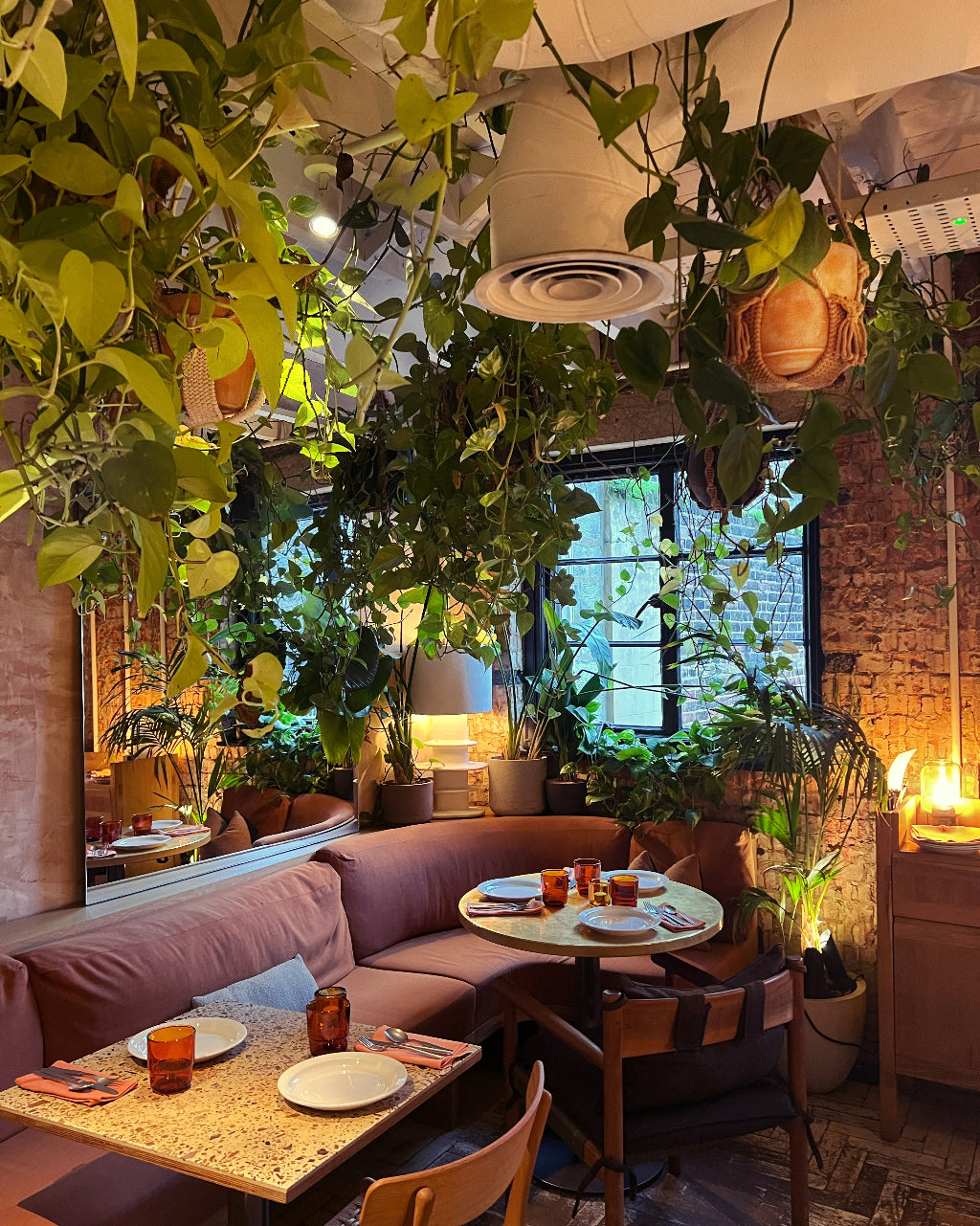 Cozy indoor setting with macrame plant hangers and plants, tables, and chairs in a warm and inviting atmosphere.