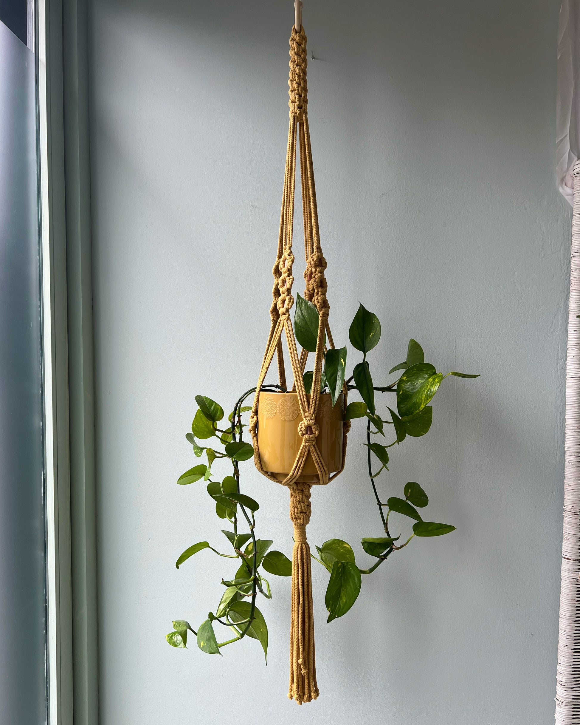 ASTRL Fibres Macramé Plant Hanger Belfast 