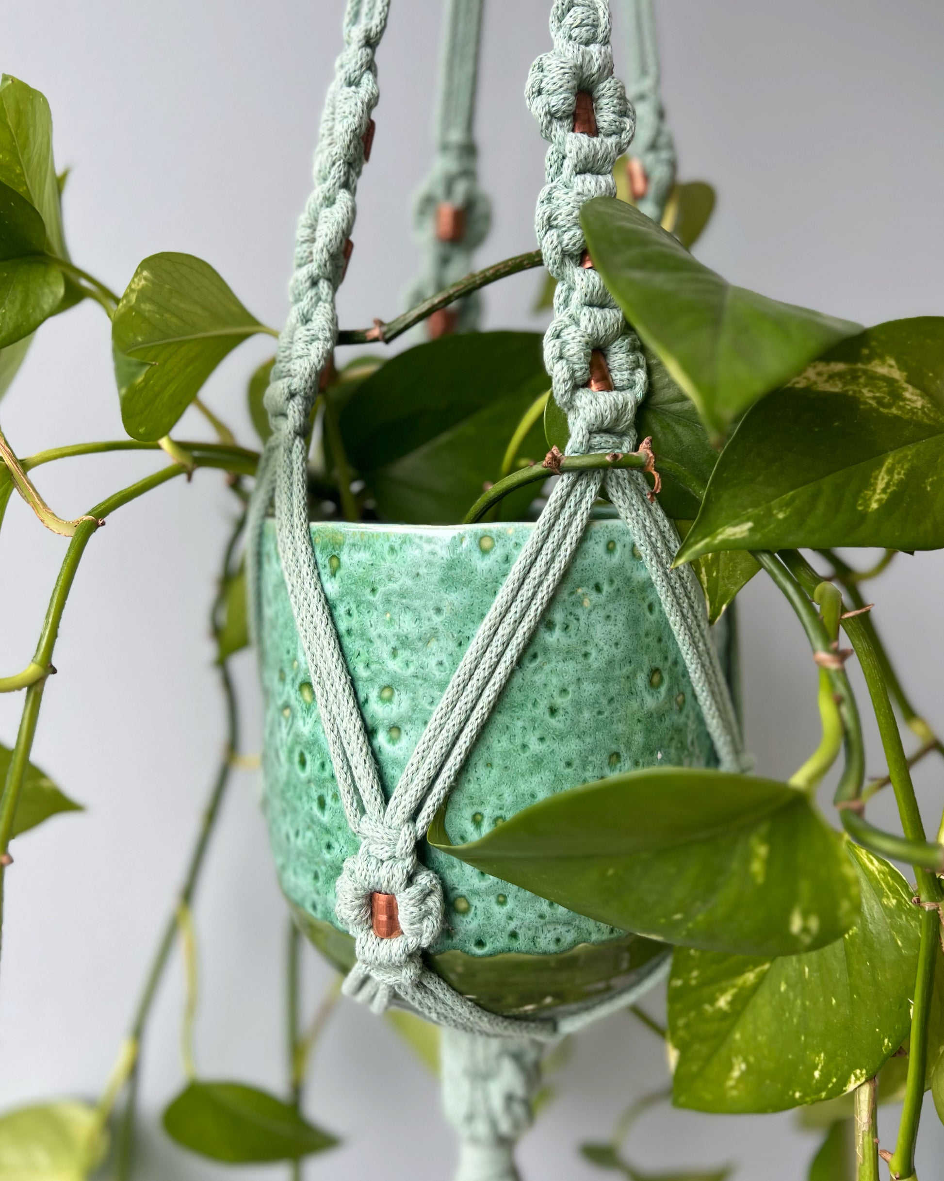 never ending star plant hanger ASTRL Fibres Copper Macramé Plant Hanger