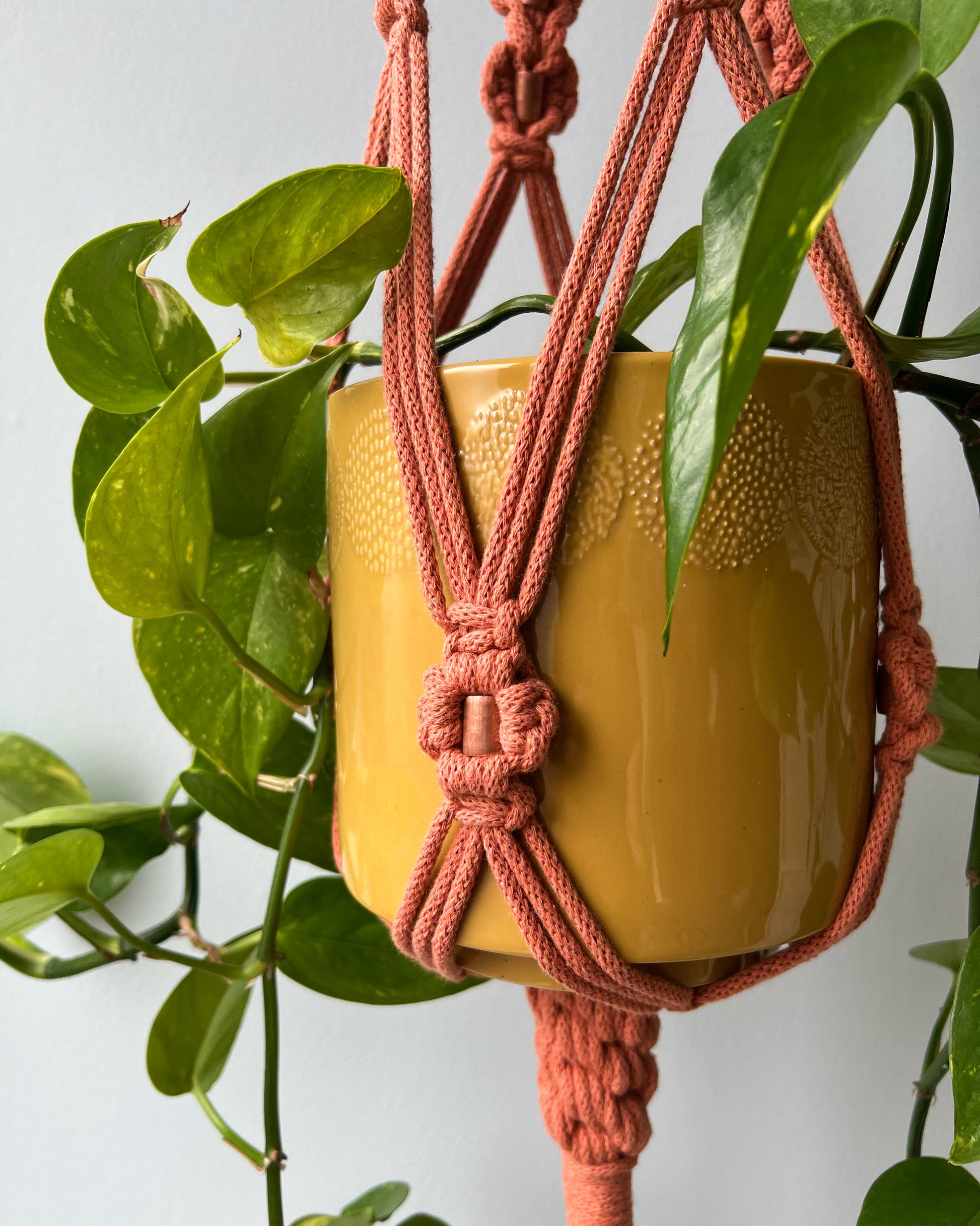 ASTRL Fibres Macramé Plant Hanger Belfast 