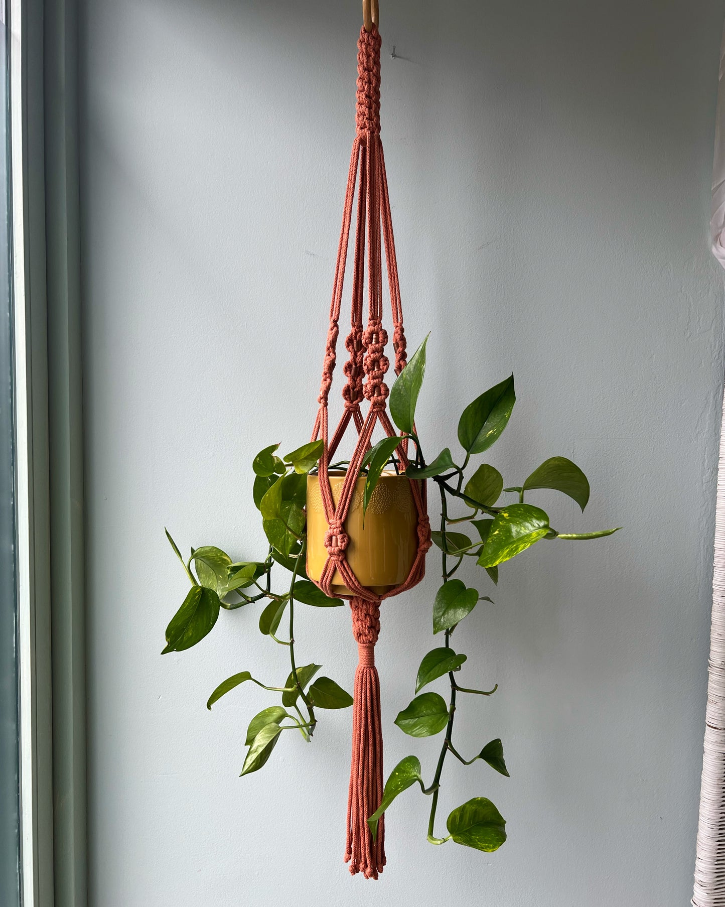 ASTRL Fibres Macramé Plant Hanger Belfast 