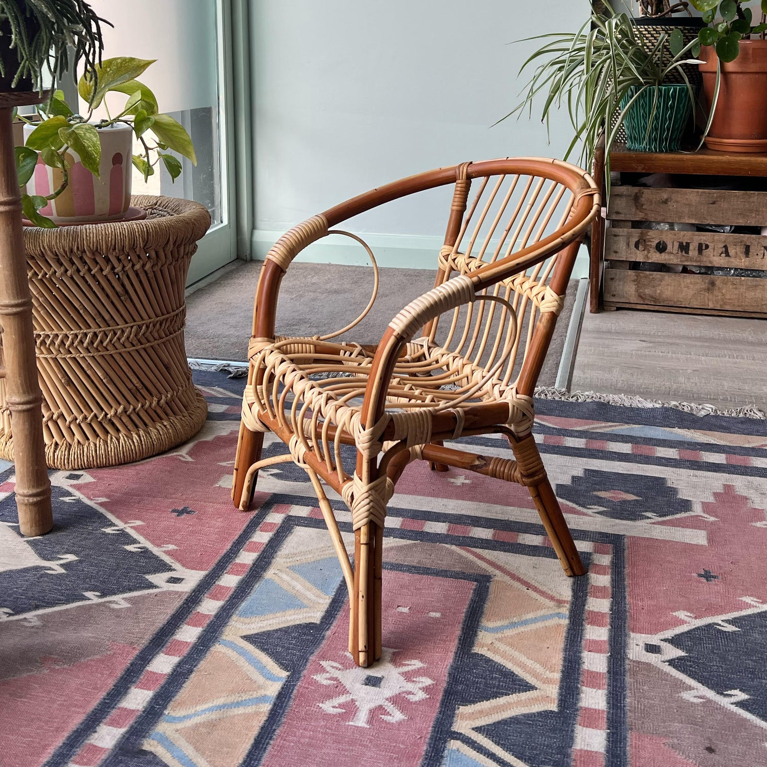 A small rattan chair sitting on a patterned rug in a room with plants and a light blue wall.