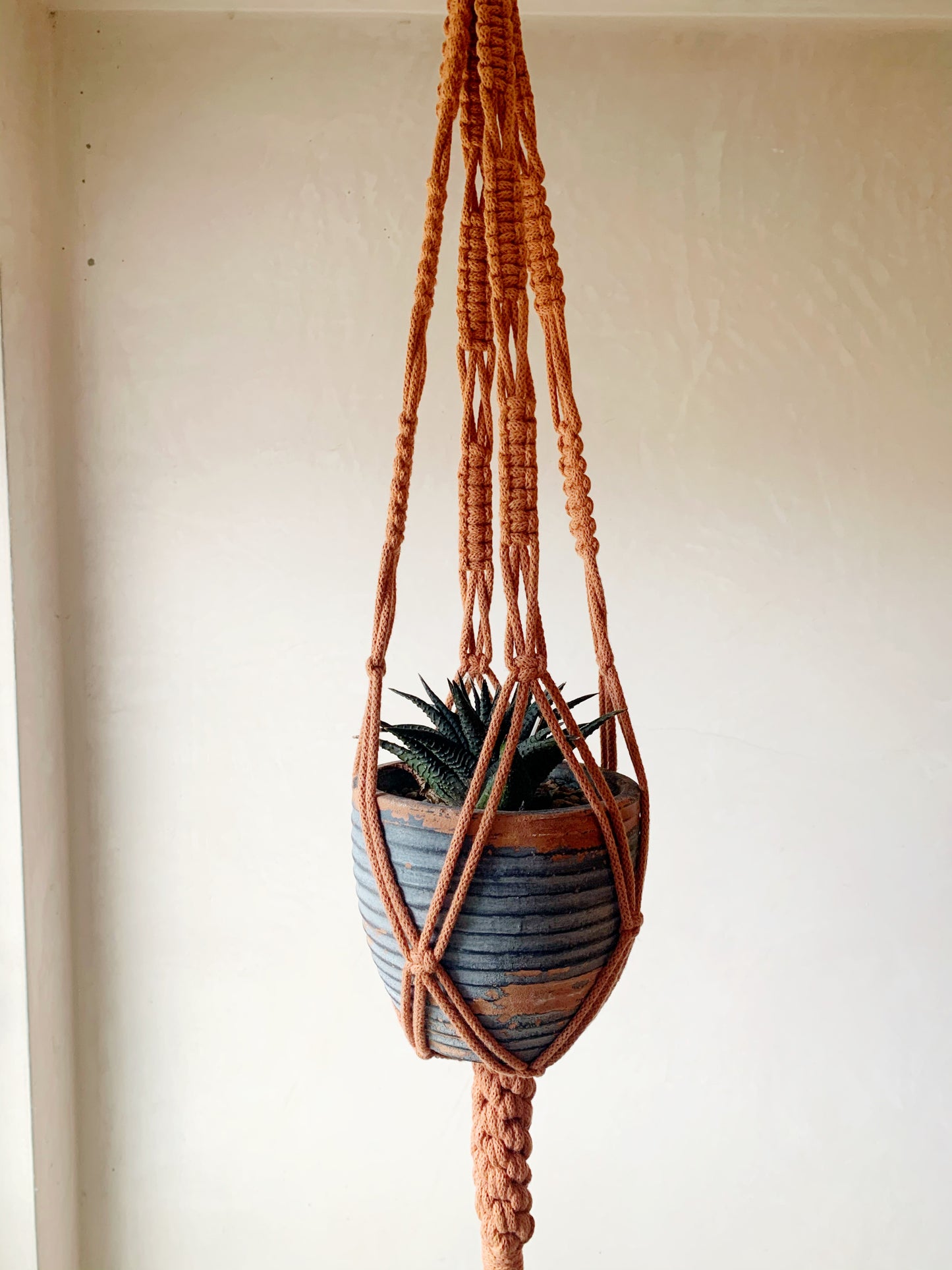 Macramé Plant Hanger